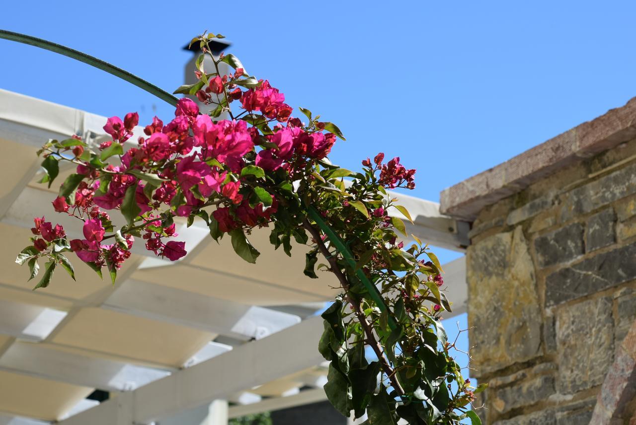 Cozy Residences In The Center Of Volissos Village - Lydia Lithos- Exterior foto