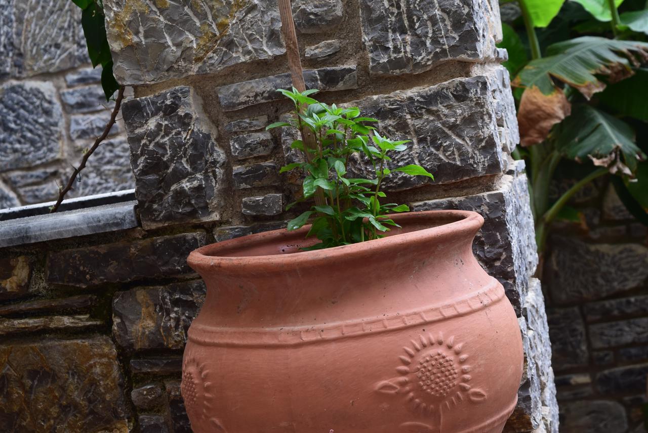 Cozy Residences In The Center Of Volissos Village - Lydia Lithos- Exterior foto
